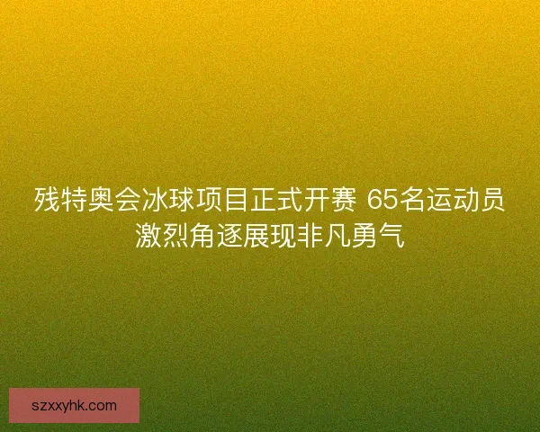 残特奥会冰球项目正式开赛 65名运动员激烈角逐展现非凡勇气